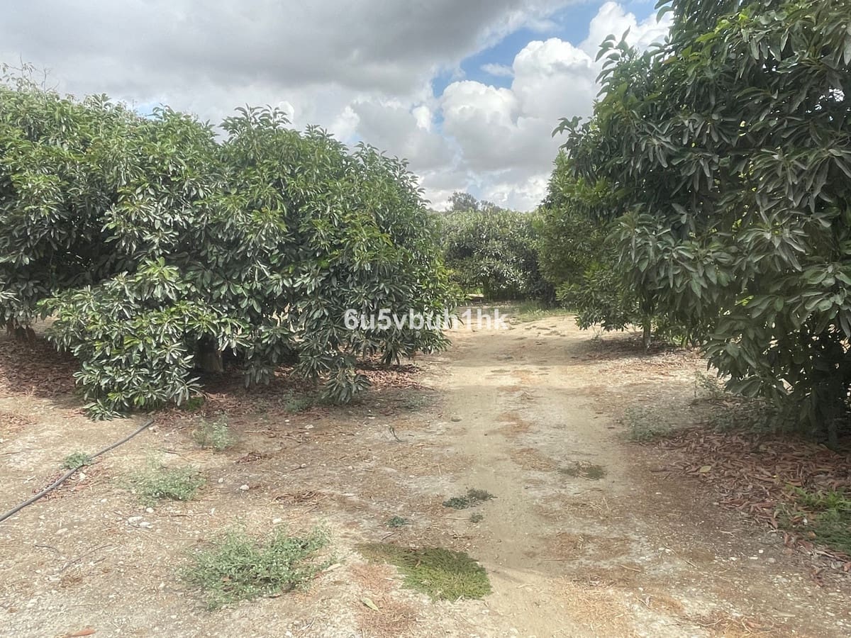 2 bedroom Finca/Country House for sale in Coin - € 320,000 (Ref: 9518138)