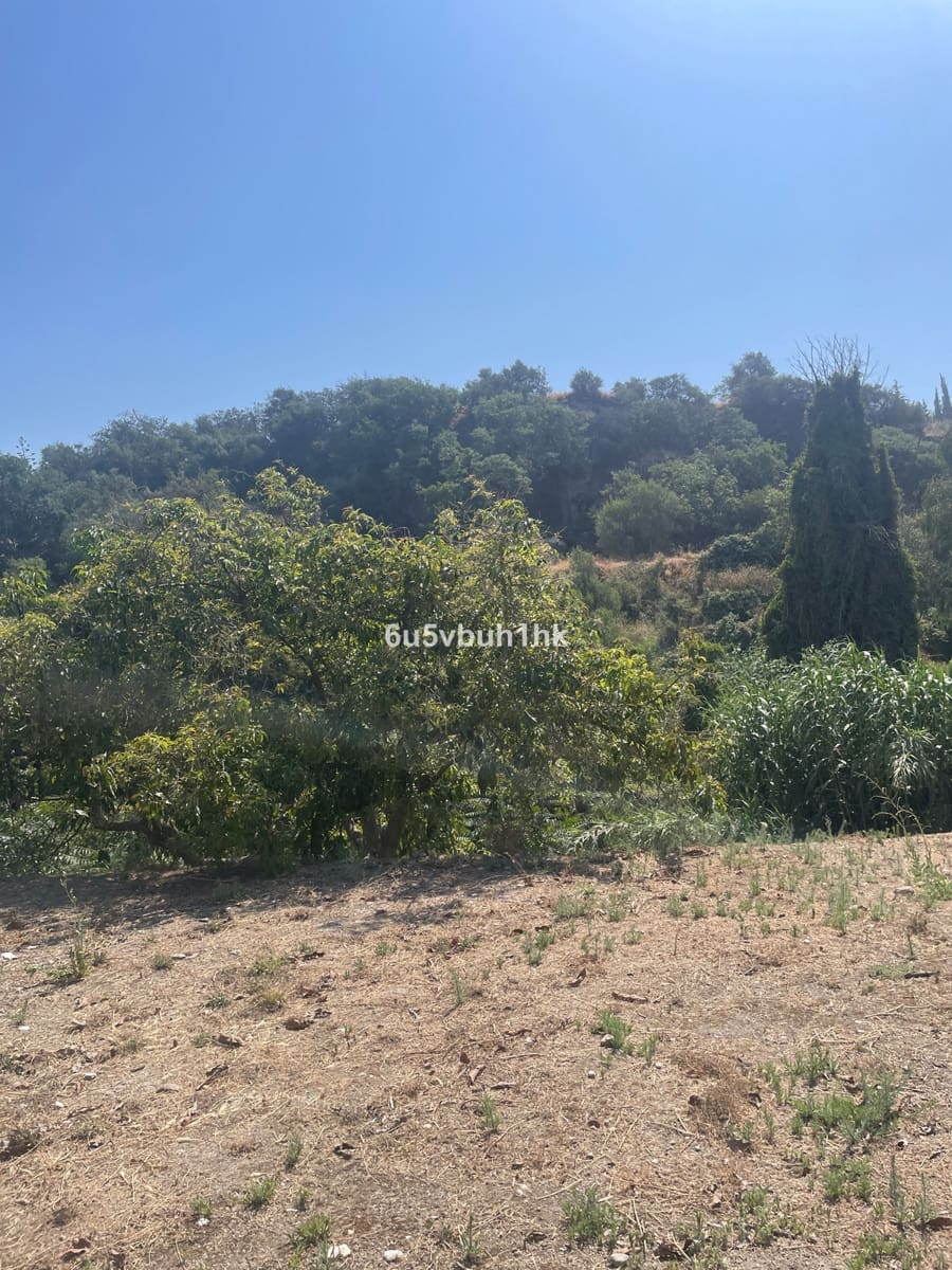 2 bedroom Finca/Country House for sale in Coin - € 320,000 (Ref: 9518138)