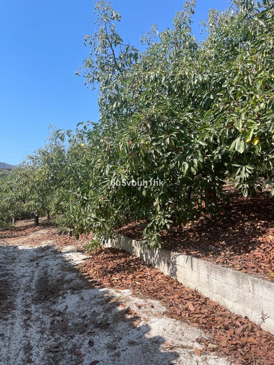 2 bedroom Finca/Country House for sale in Coin - € 320,000 (Ref: 9518138)