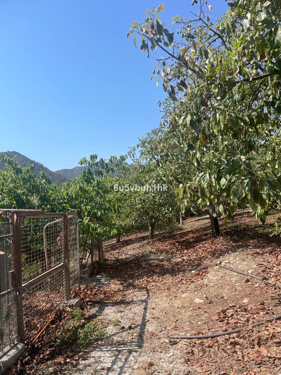 2 bedroom Finca/Country House for sale in Coin - € 320,000 (Ref: 9518138)