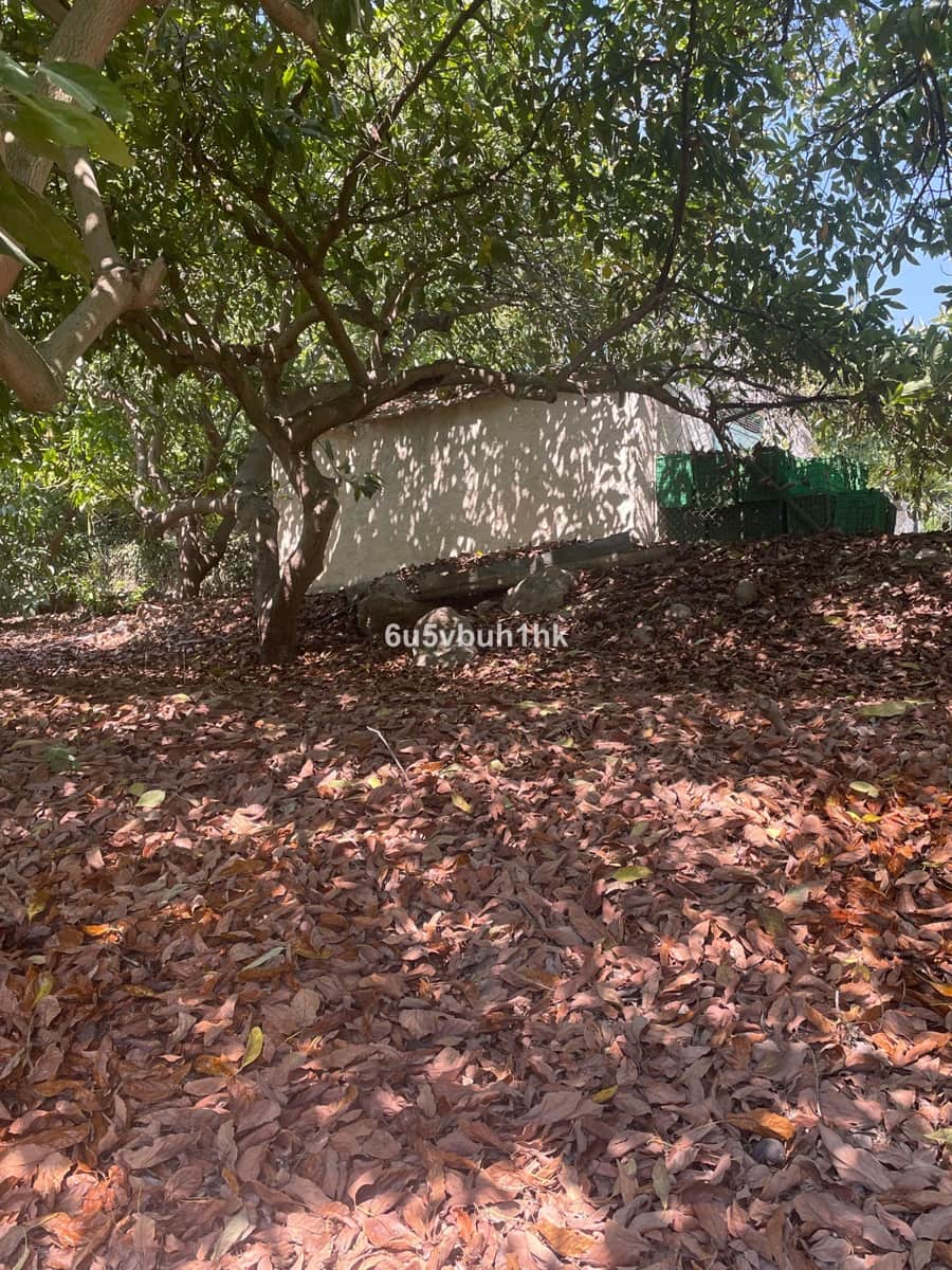 2 bedroom Finca/Country House for sale in Coin - € 320,000 (Ref: 9518138)