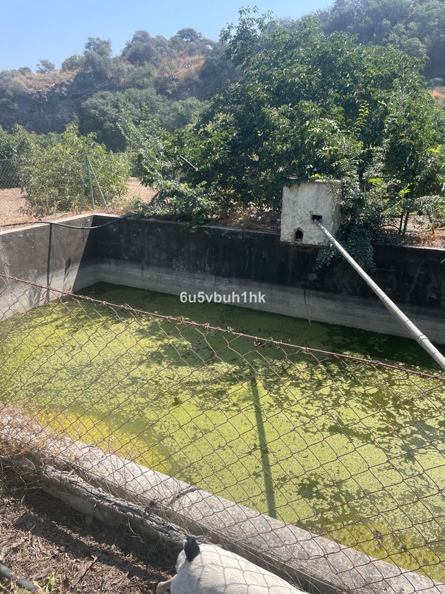 2 bedroom Finca/Country House for sale in Coin - € 320,000 (Ref: 9518138)