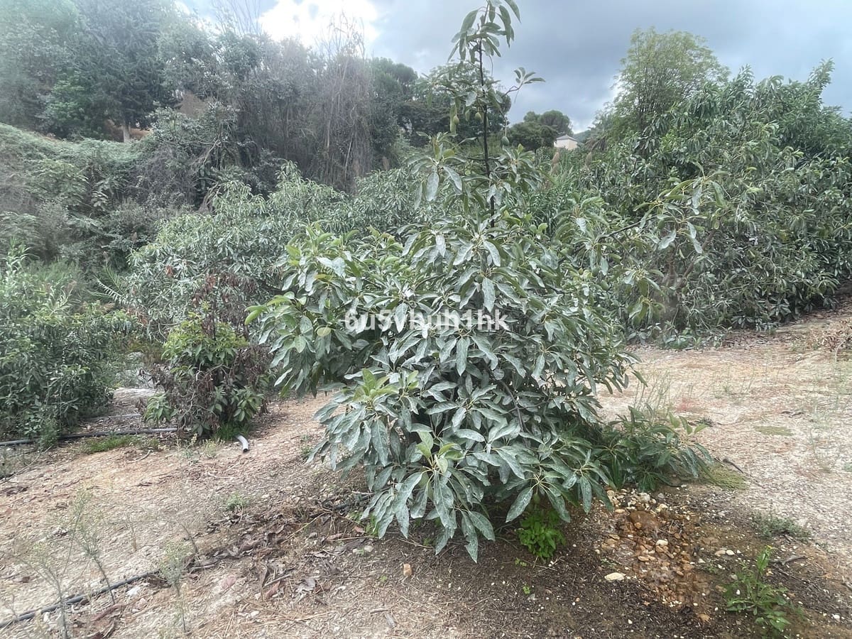 2 bedroom Finca/Country House for sale in Coin - € 320,000 (Ref: 9518138)