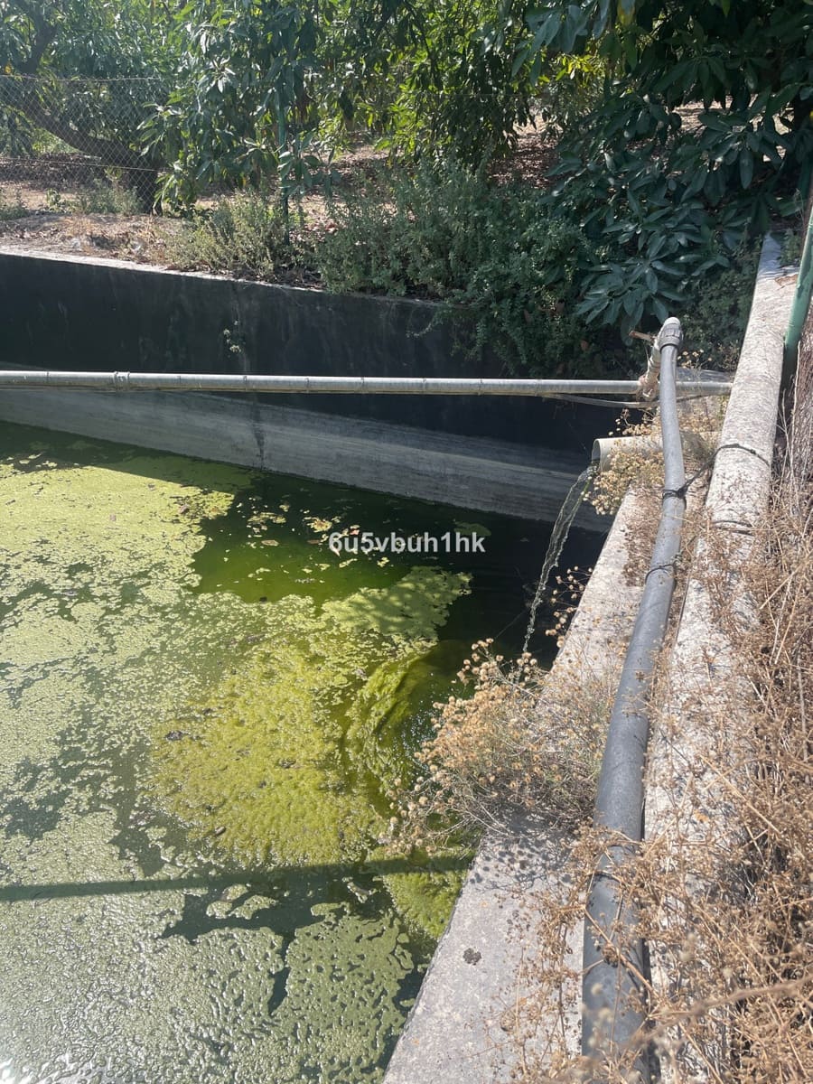 2 bedroom Finca/Country House for sale in Coin - € 320,000 (Ref: 9518138)