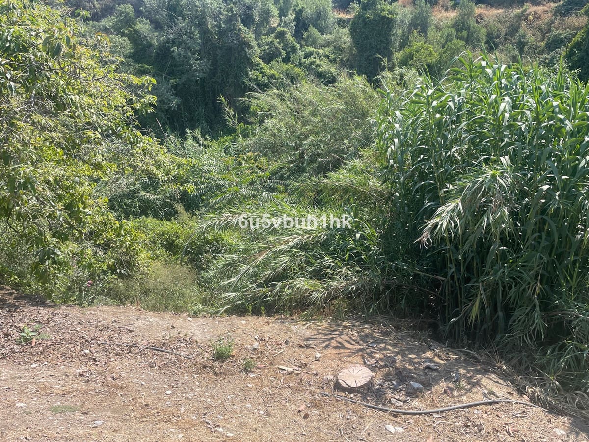 2 bedroom Finca/Country House for sale in Coin - € 320,000 (Ref: 9518138)