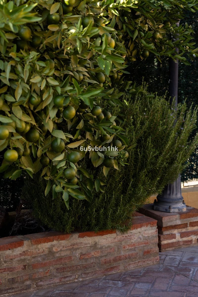 5 soverom Hus til salgs i Malaga by - € 995 000 (Ref: 9518139)