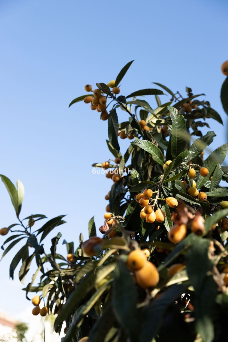 4 bedroom Villa for sale in San Pedro de Alcantara with pool - € 1,695,000 (Ref: 9518150)