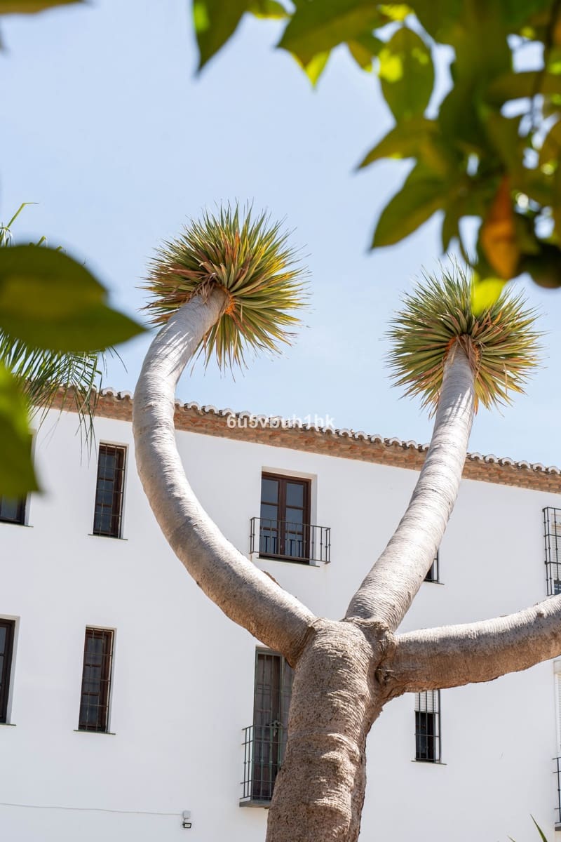 2 sypialnia Dom na sprzedaż w Mijas - 399 000 € (Ref: 9518168)