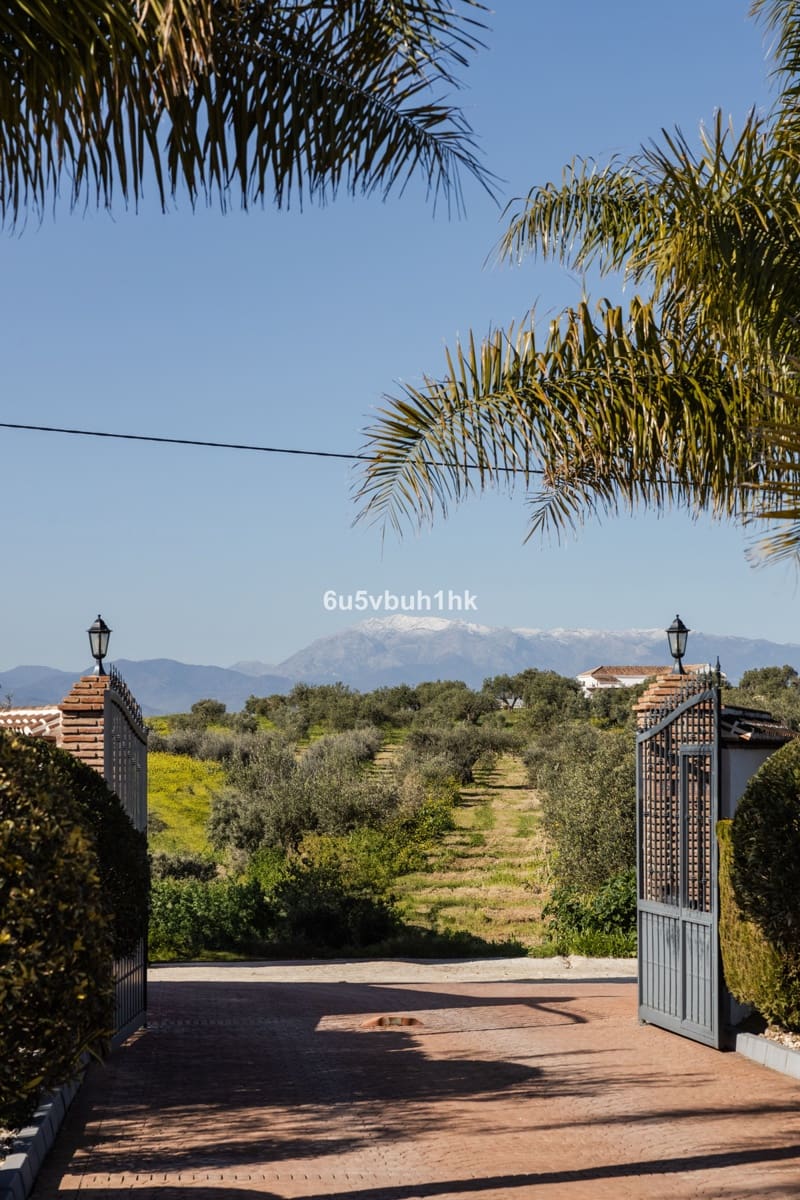 5 bedroom Townhouse for sale in Alhaurin el Grande with pool - € 1,280,000 (Ref: 9518187)