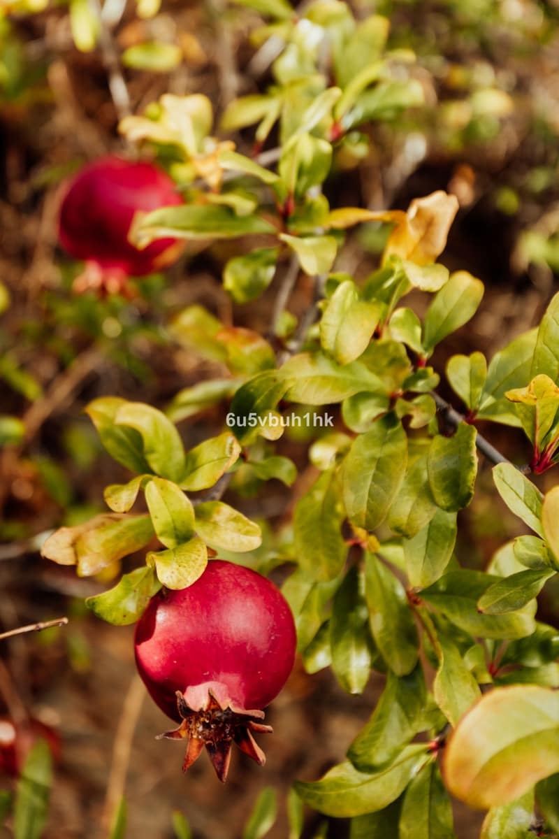 Casa de 2 habitaciones en Málaga ciudad en venta - 480.000 € (Ref: 9518189)