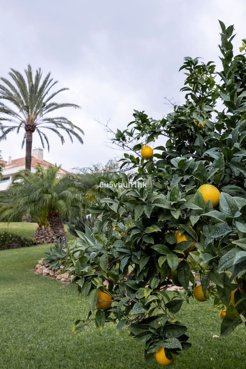 3 bedroom Penthouse for sale in Los Monteros with pool - € 800,000 (Ref: 9518195)