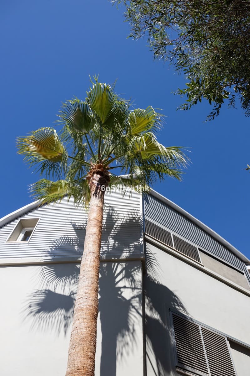 Finca/Casa Rural de 4 habitaciones en Fuengirola en venta con piscina - 595.000 € (Ref: 9518200)