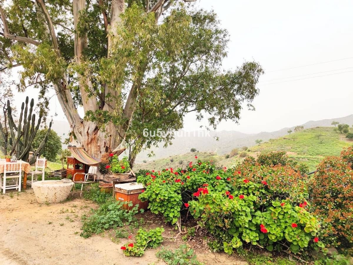 5 bedroom Townhouse for sale in Malaga city - € 3,600,000 (Ref: 9518209)