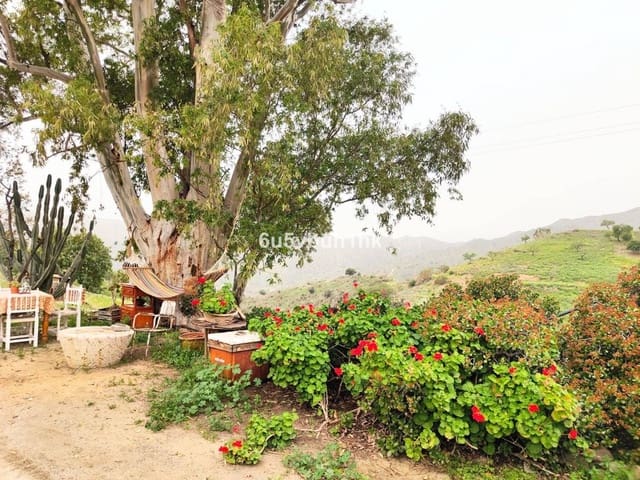 5 camera da letto Casa in vendita in Centro Historico, Malaga città - 3.600.000 € (Rif: 9518209)