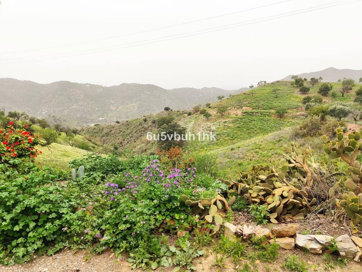 5 bedroom Townhouse for sale in Malaga city - € 3,600,000 (Ref: 9518209)