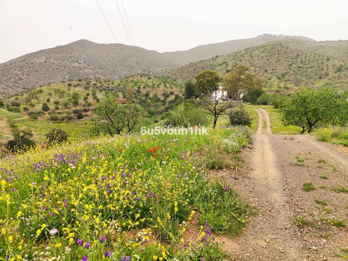 5 bedroom Townhouse for sale in Malaga city - € 3,600,000 (Ref: 9518209)