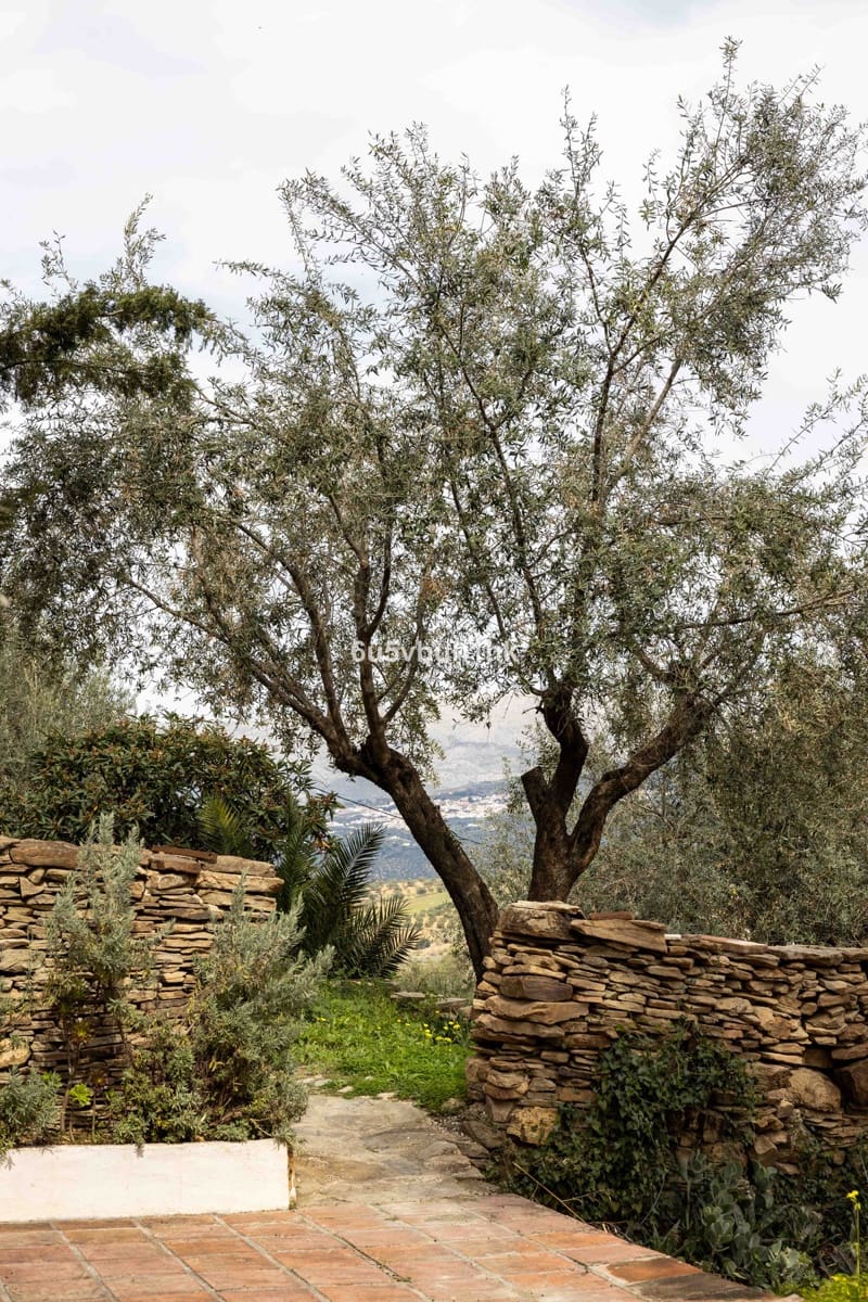 31 bedroom Townhouse for sale in Vinuela with pool - € 2,950,000 (Ref: 9520524)