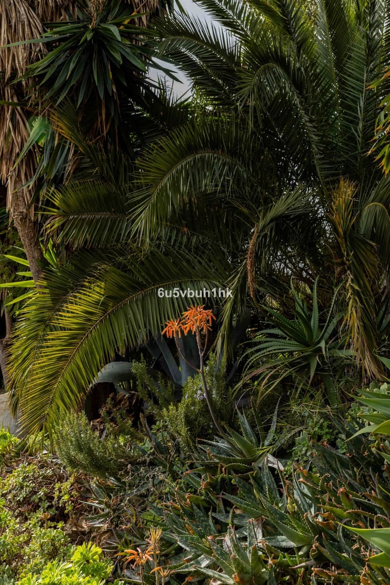 31 bedroom Townhouse for sale in Vinuela with pool - € 2,950,000 (Ref: 9520524)