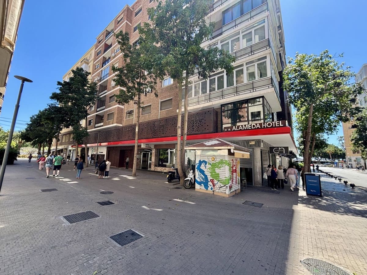 9 makuuhuone Huoneisto myytävänä paikassa Malaga kaupunki - 1 800 000 € (Ref: 9629285)