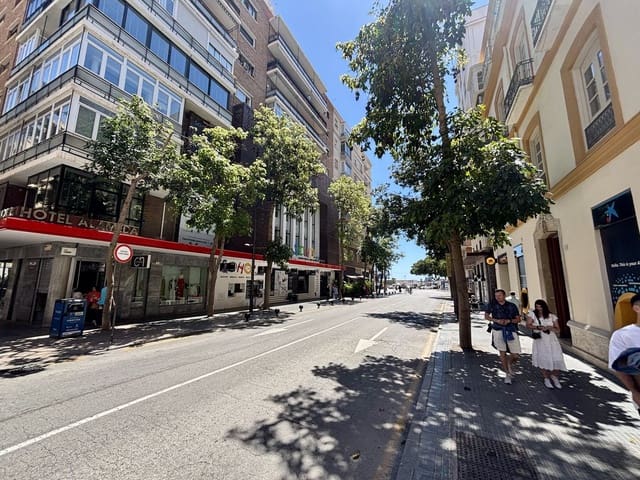 9 sypialnia Apartament na sprzedaż w Centro Historico, Miasto Málaga - 1 800 000 € (Ref: 9629285)