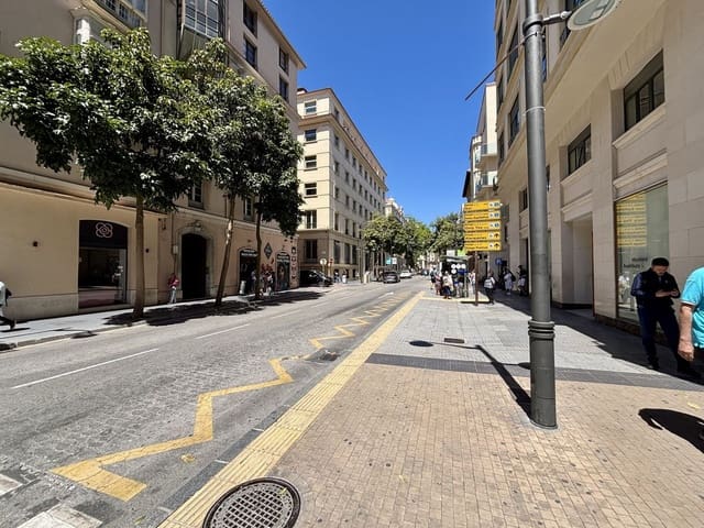 9 sypialnia Apartament na sprzedaż w Centro Historico, Miasto Málaga - 1 800 000 € (Ref: 9629285)