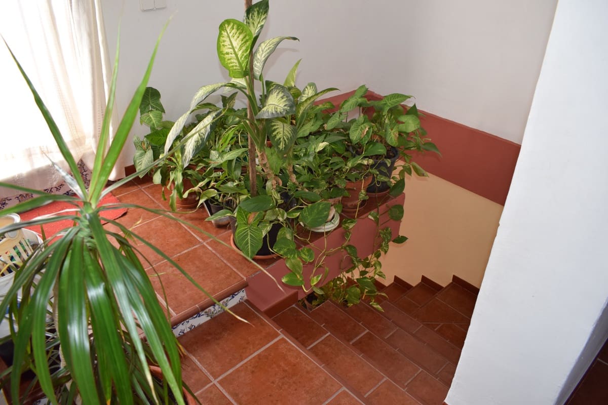 4 camera da letto Finca/Casa di Campagna in vendita in Velez-Malaga - 680.000 € (Rif: 9629346)