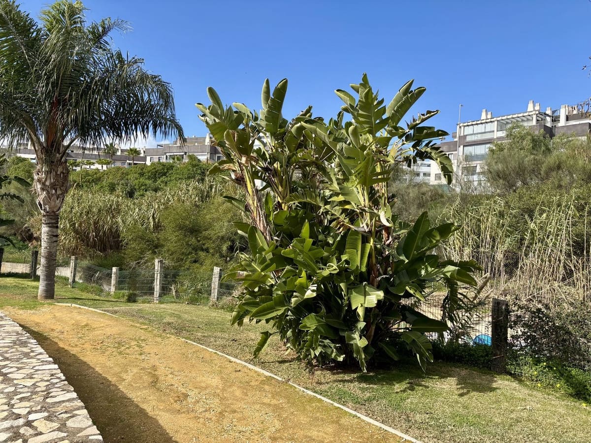 3 soverom Hus til salgs i Puerto de la Torre - € 549 000 (Ref: 9632888)