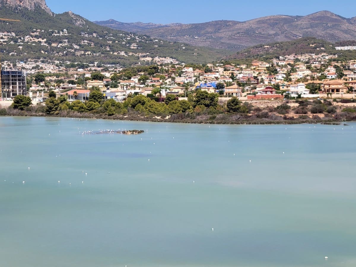 2 slaapkamer Appartement te koop in Calpe / Calp - € 340.000 (Ref: 9643121)