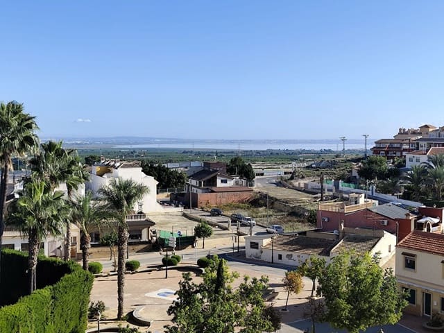 7 Zimmer Villa zu verkaufen in San Miguel de Salinas - 249.000 € (Ref: 9643608)
