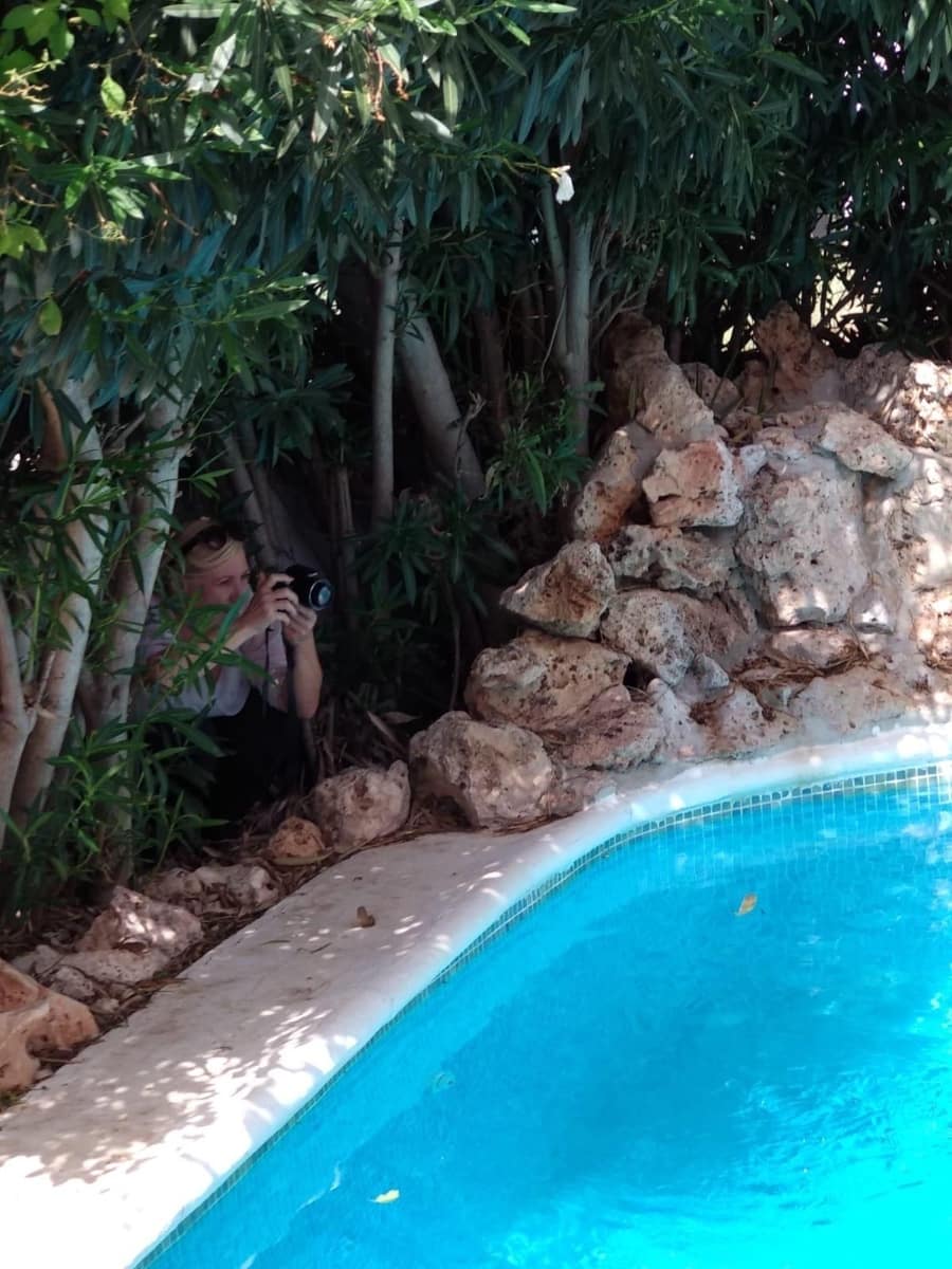 4 bedroom Finca/Country House for sale in La Sierrezuela - € 550,000 (Ref: 9694534)