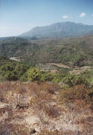 5 soveværelse Finca/Landehus til salg i Estepona - € 4.500.000 (Ref: 9703366)