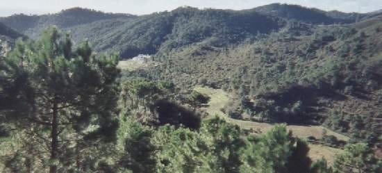 5 soveværelse Finca/Landehus til salg i Estepona - € 4.500.000 (Ref: 9703366)