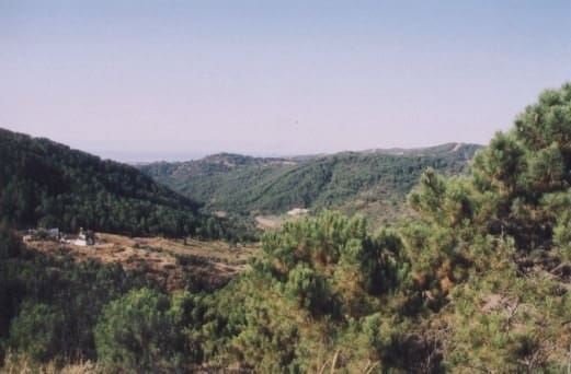 5 soveværelse Finca/Landehus til salg i Estepona - € 4.500.000 (Ref: 9703366)