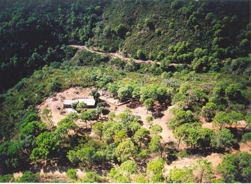 5 soveværelse Finca/Landehus til salg i Parque Central, Estepona - € 4.500.000 (Ref: 9703366)