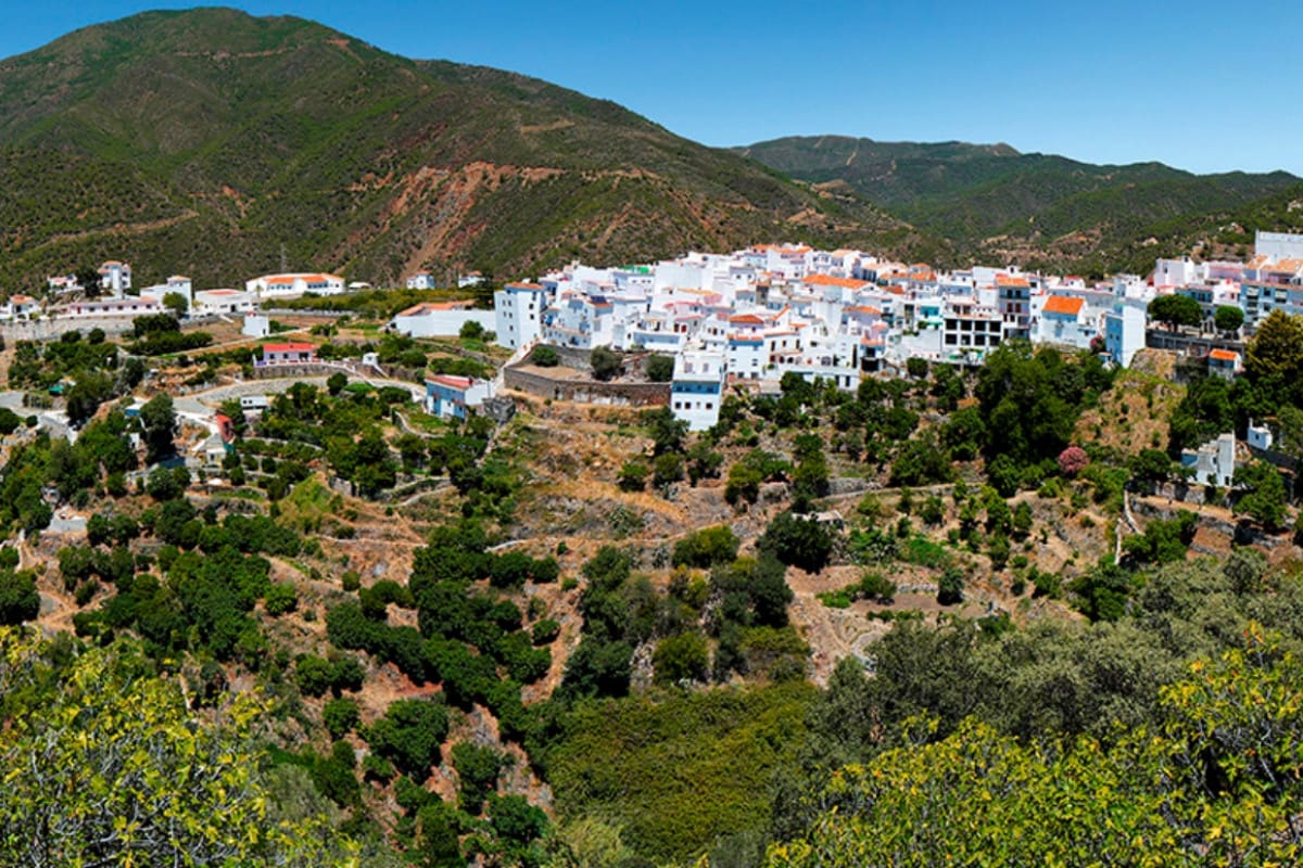 3 soverom Hus til salgs i Istan - € 620 000 (Ref: 9719229)