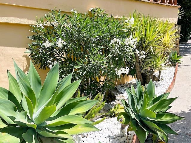 2 chambre Appartement à vendre à Calahonda, Mijas avec garage - 369 000 € (Ref: 9741402)