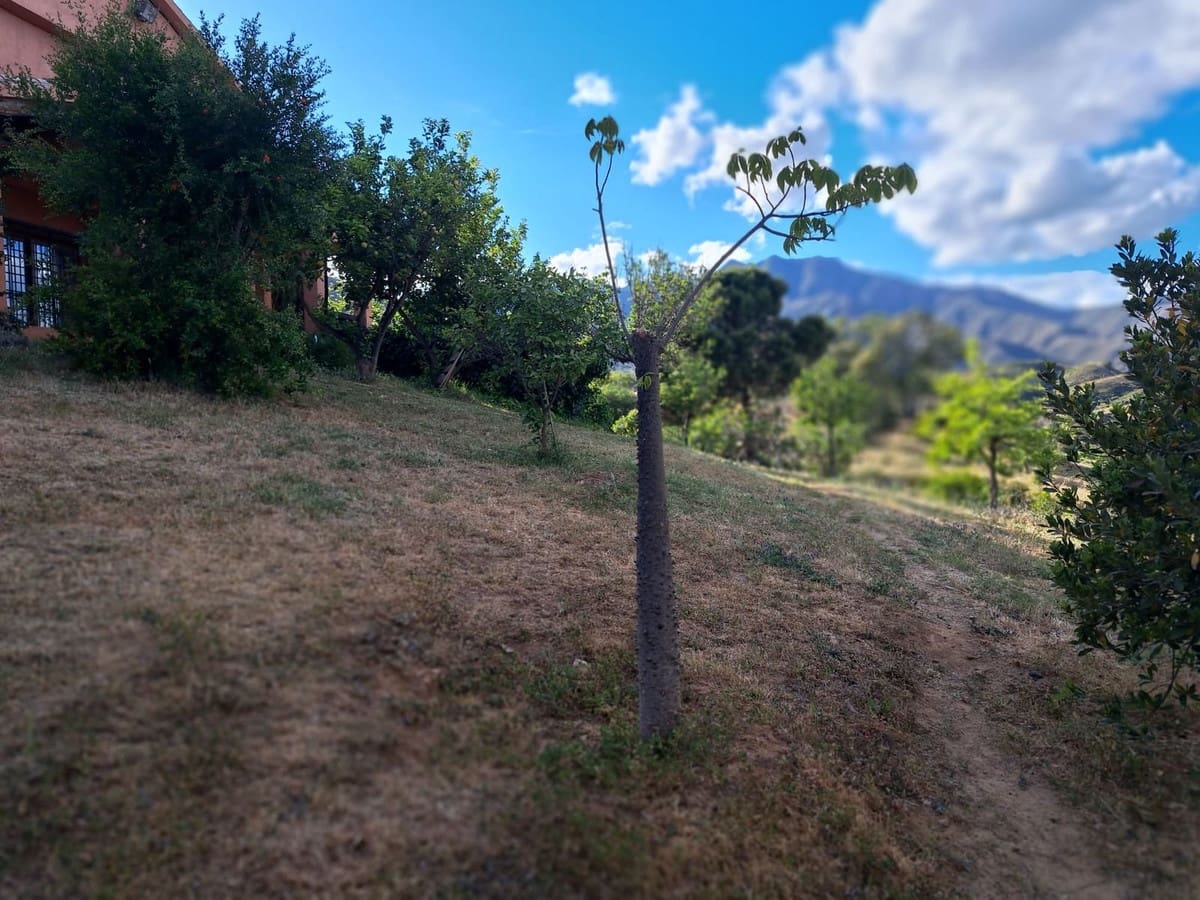 4 soverom Finca/Herregård til salgs i Entrerrios - € 1 195 000 (Ref: 9772507)