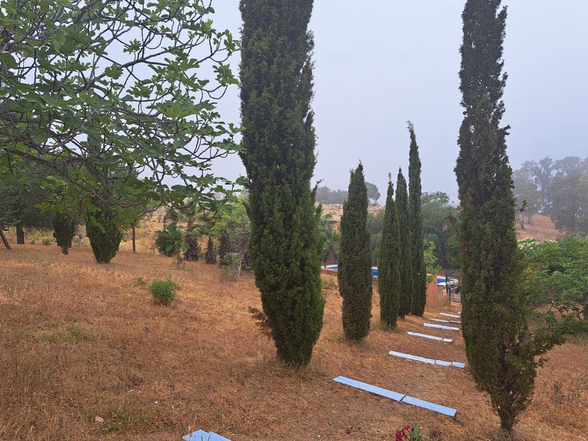 4 sovrum Finca/Hus på landet till salu i Entrerrios - 1 195 000 € (Ref: 9800277)