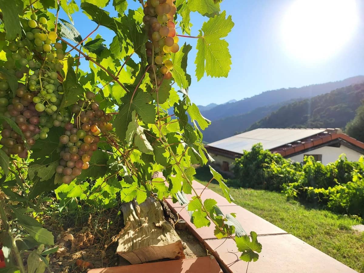 3 Zimmer Finca/Landgut zu verkaufen in Genalguacil - 540.000 € (Ref: 9813618)