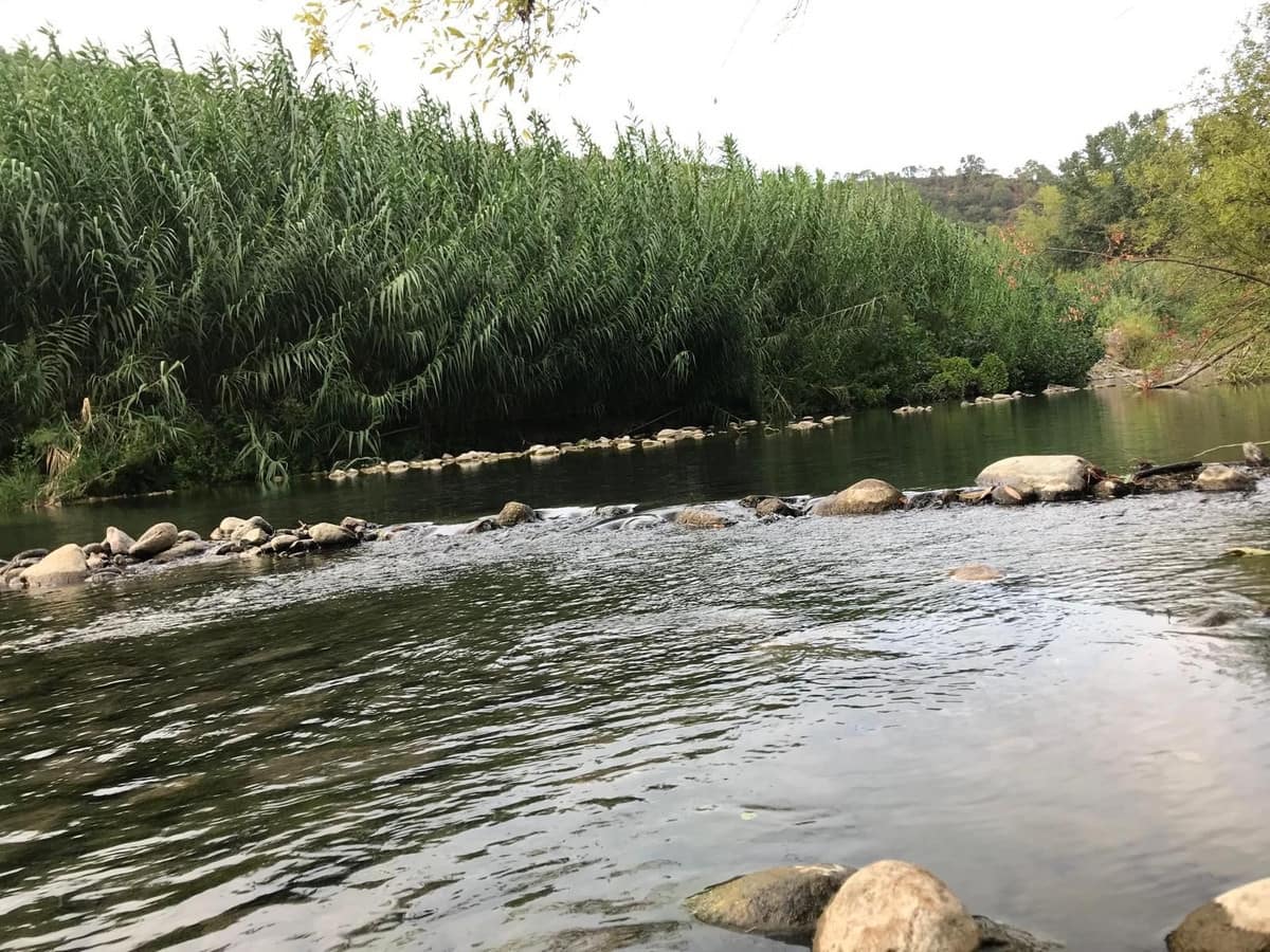 3 Zimmer Finca/Landgut zu verkaufen in Genalguacil - 540.000 € (Ref: 9813618)
