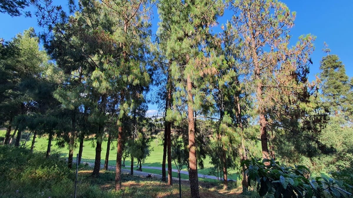 2 soverom Leilighet til salgs i Torrequebrada med garasje - € 399 000 (Ref: 9830435)