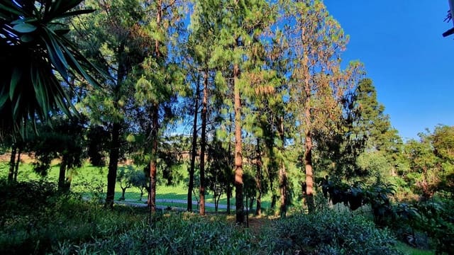 2 soverom Leilighet til salgs i Hacienda Torrequebrada, Benalmádena med garasje - € 399 000 (Ref: 9830435)