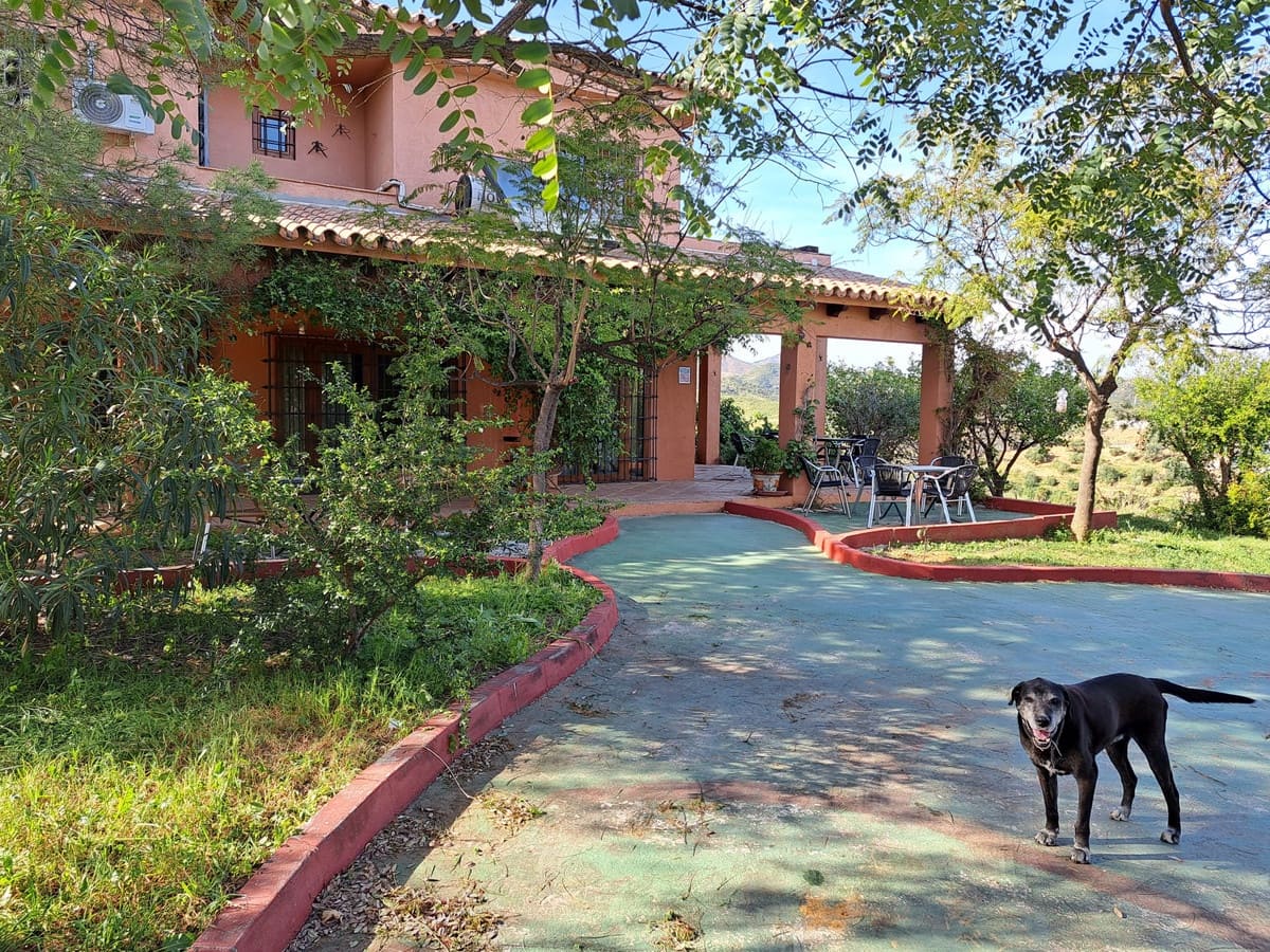 4 soveværelse Finca/Landehus til salg i Entrerrios - € 1.195.000 (Ref: 9870498)