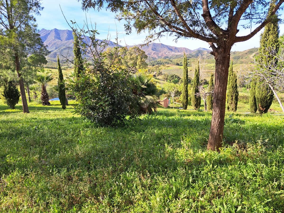 4 soveværelse Finca/Landehus til salg i Entrerrios - € 1.195.000 (Ref: 9870498)