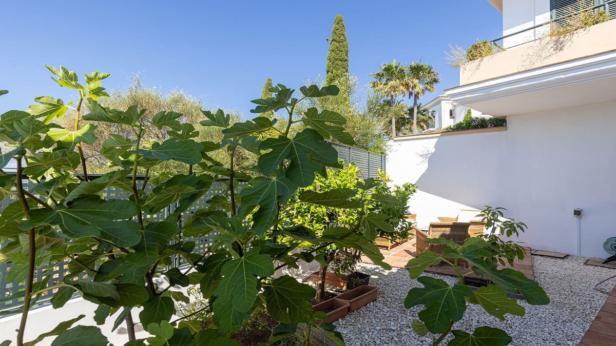 3 soverom Leilighet til salgs i Casares - € 620 000 (Ref: 9885363)