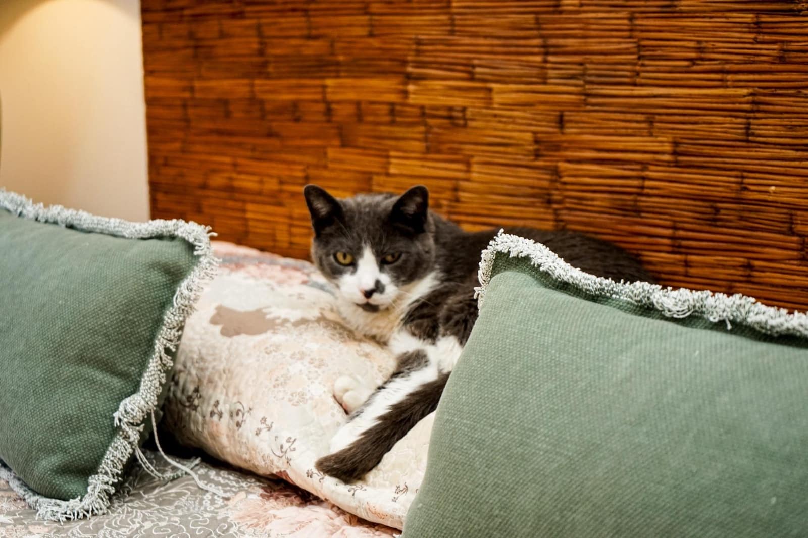 6 soverom Villa til salgs i Salobre Golf med svømmebasseng garasje - € 988 000 (Ref: 9033194)