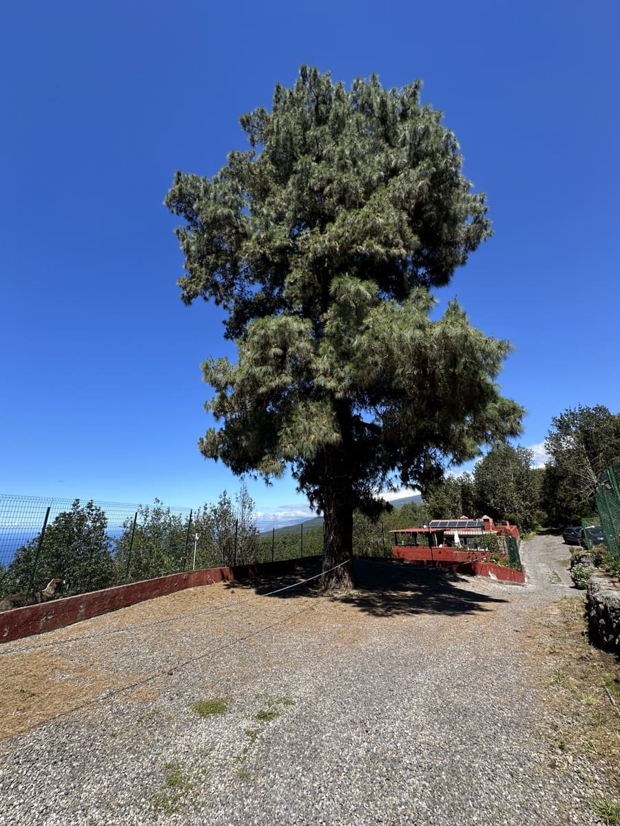 2 Zimmer Haus zu verkaufen in Icod de los Vinos - 390.000 € (Ref: 9567898)