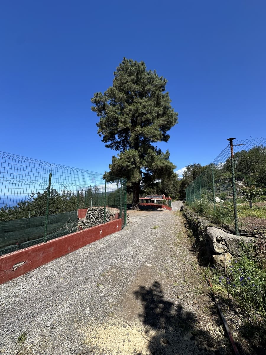 2 Zimmer Haus zu verkaufen in Icod de los Vinos - 390.000 € (Ref: 9567898)