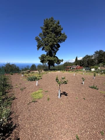 2 soveværelse Byhus til salg i Icod de los Vinos - € 390.000 (Ref: 9567898)