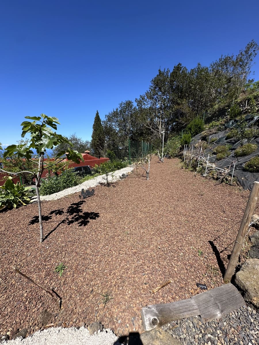 2 Zimmer Haus zu verkaufen in Icod de los Vinos - 390.000 € (Ref: 9567898)